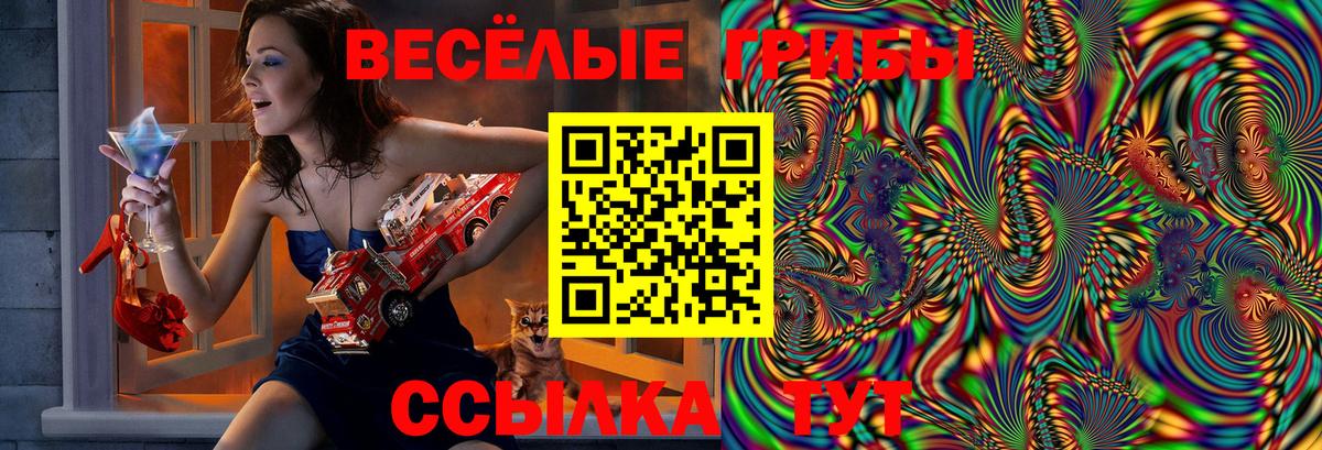 Россия  Псилоцибиновые грибы ЛСД  Вход с VPN 